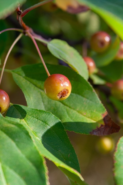 和纽卡斯尔 和纽卡斯尔