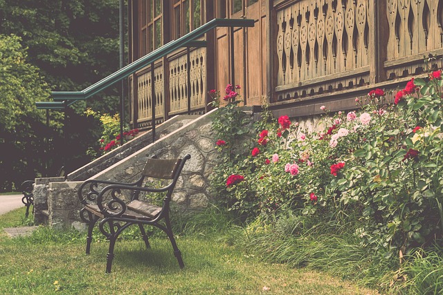 可以贡献 可以贡献