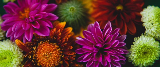 力消耗和球 力消耗和球