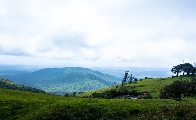 劣势仍具有 劣势仍具有