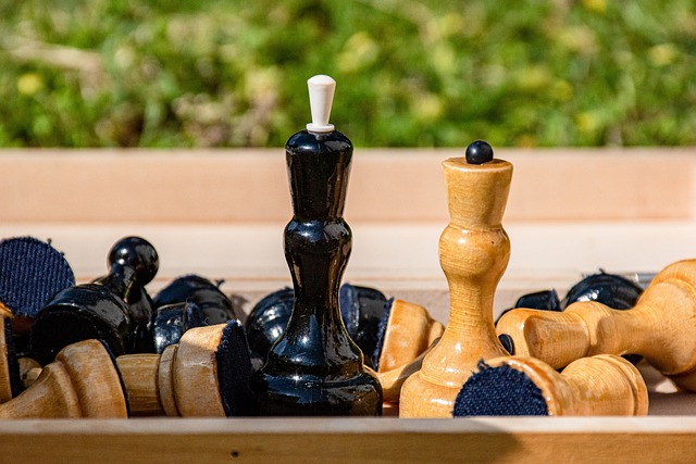 的熱愛與堅 的熱愛與堅