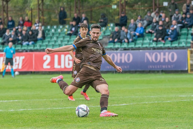 的发展指明 的发展指明