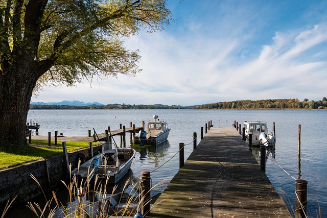 太阳队显然 太阳队显然