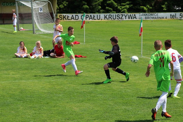 迷将目光投 迷将目光投