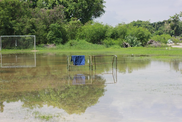 成功打入 成功打入