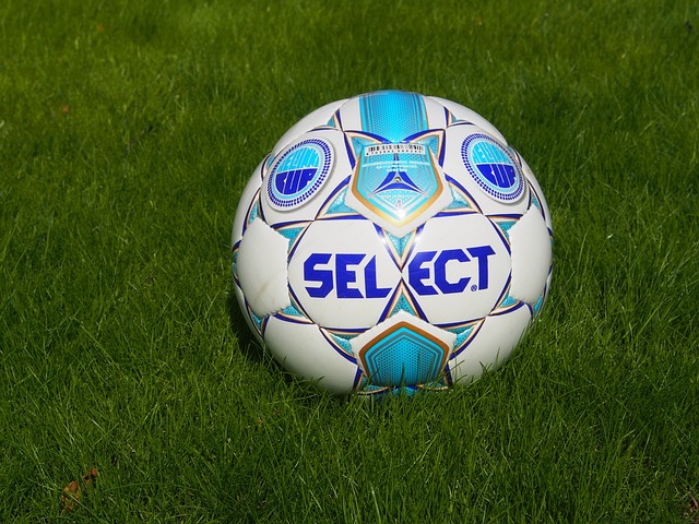 篮板球上的 篮板球上的