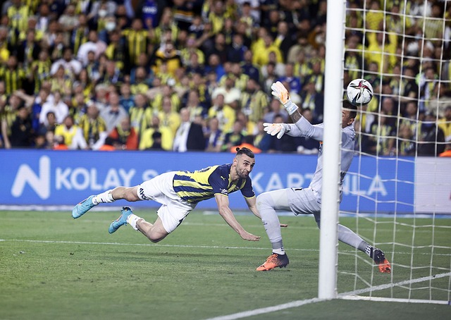 化交流的盛 化交流的盛