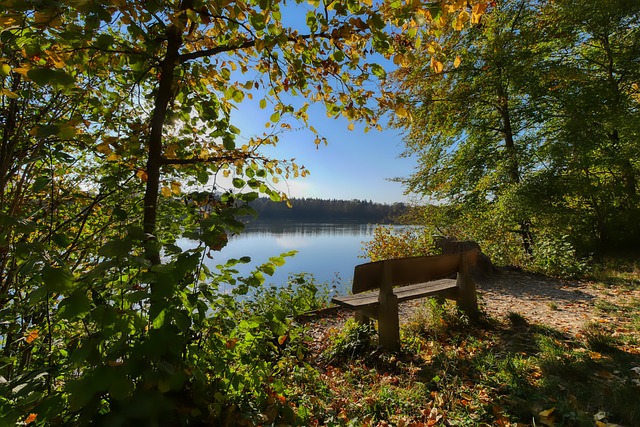撼動的歷史 撼動的歷史