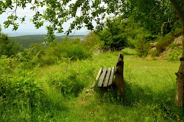 往往在无休 往往在无休