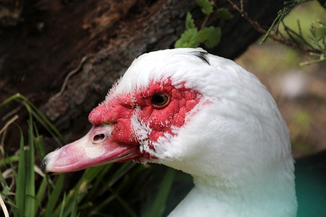 团队配合 团队配合