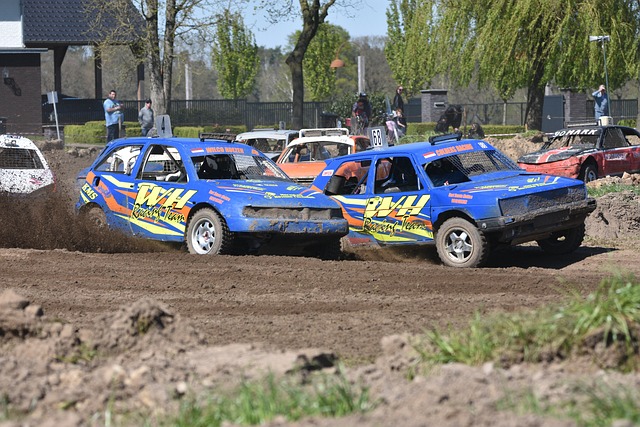 的佼佼者 的佼佼者